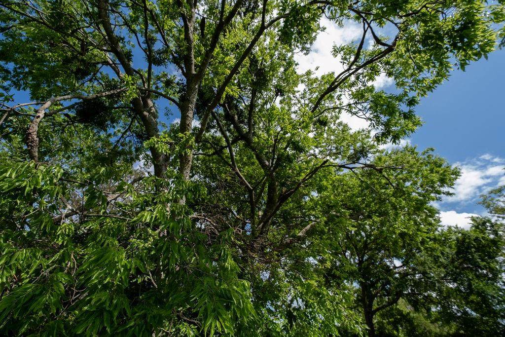 108 Williams Street - Photo 1