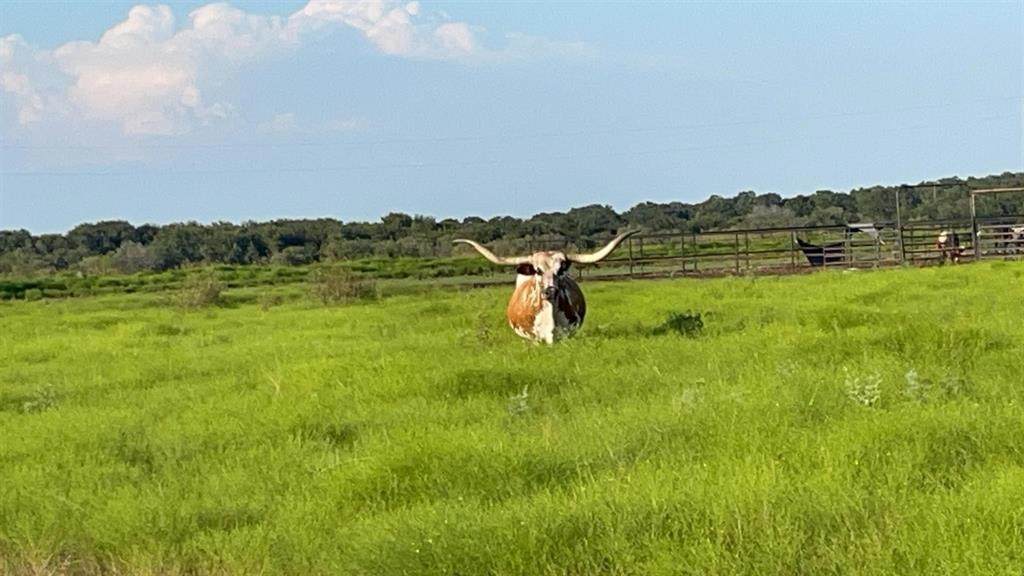 4565 County Road 140-A - Photo 1