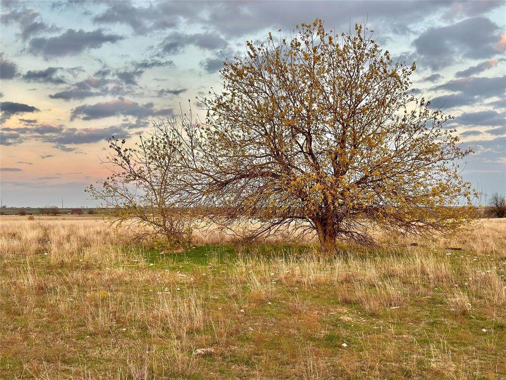 Lot 7 County Road 353 - Photo 1