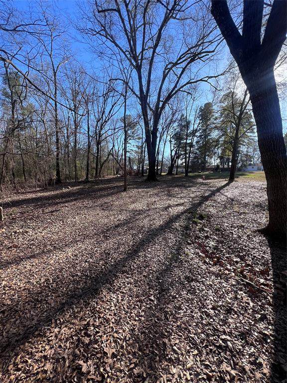 TBD Quail Run - Photo 1