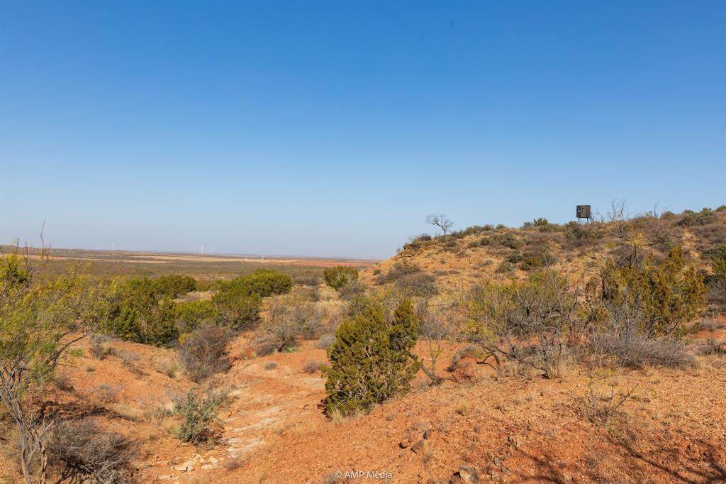 0 County Road 441 - Photo 1