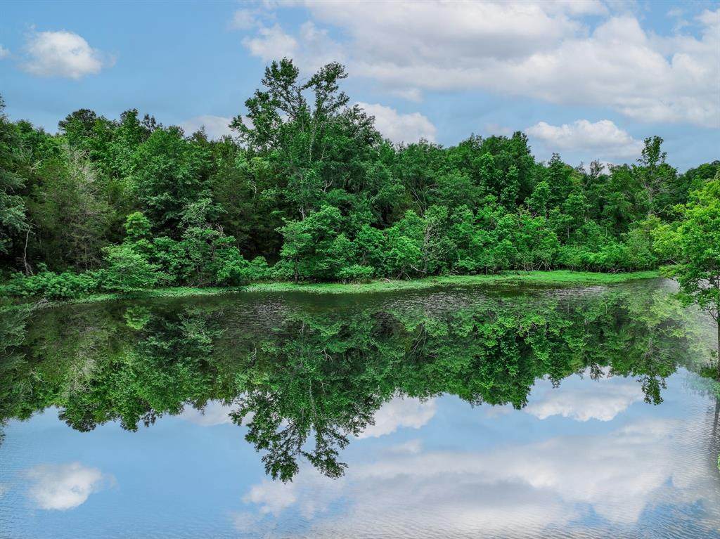 3732 Us Highway 84 - Photo 1