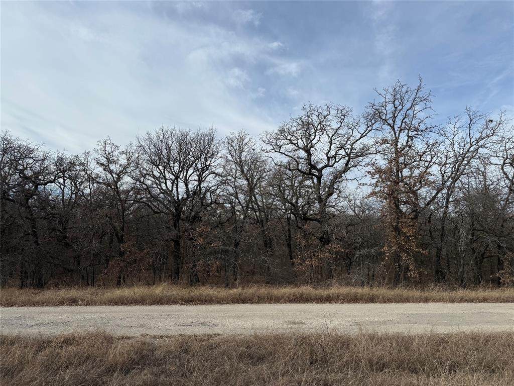 0 Lindsey Lane - Photo 1