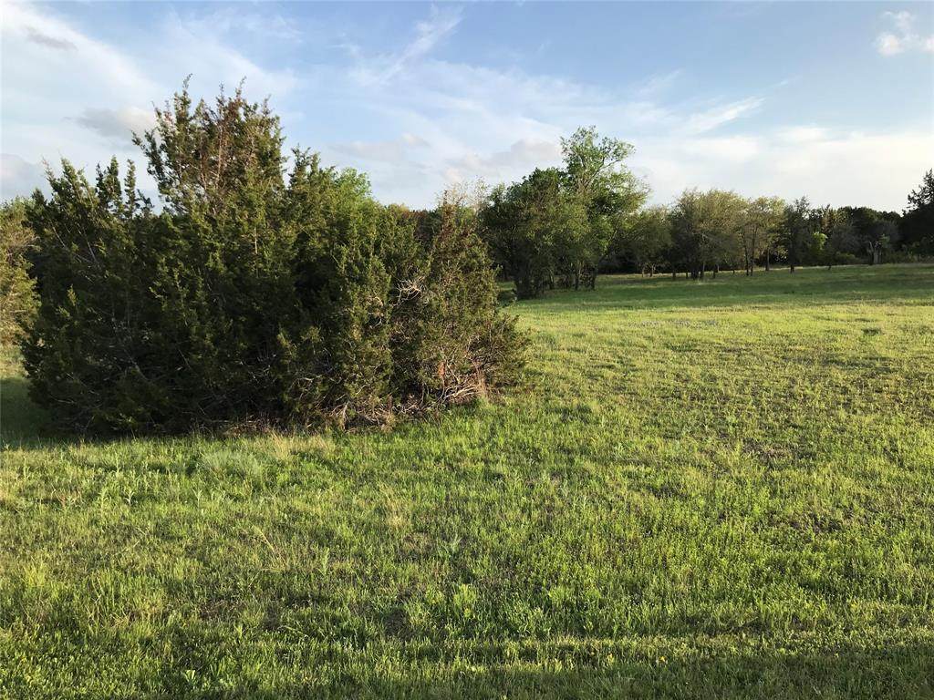 1019 White Bluff Drive - Photo 1