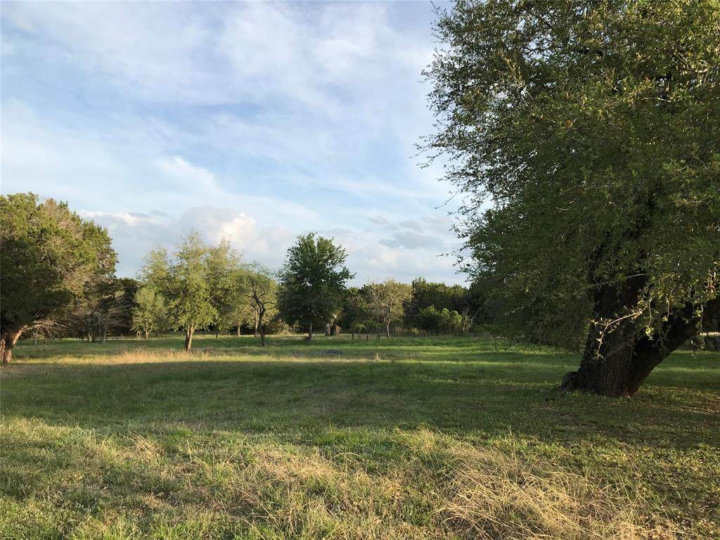 1020 White Bluff Drive - Photo 1