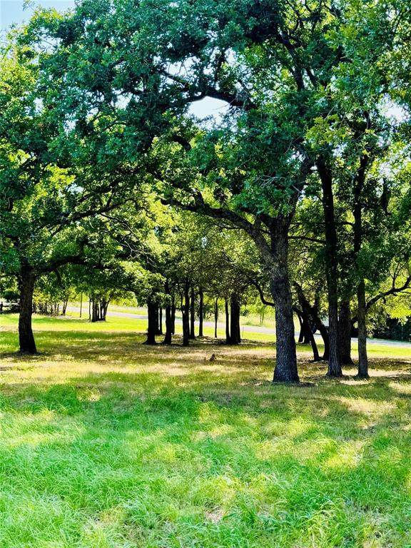 14004 Sandy Oaks Drive - Photo 1