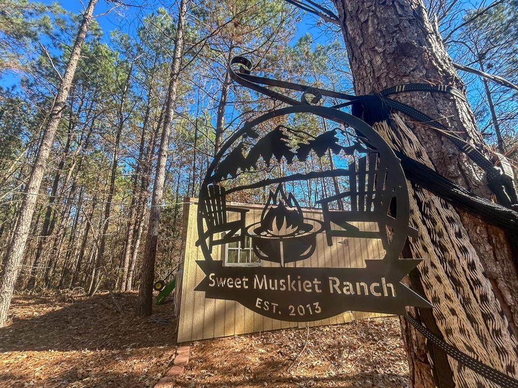 3320 Farm To Market 3065 - Photo 1