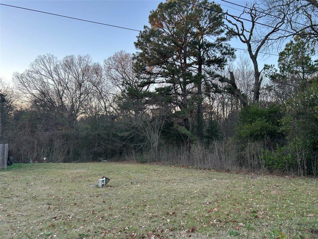 1203 Hamlett Street - Photo 1