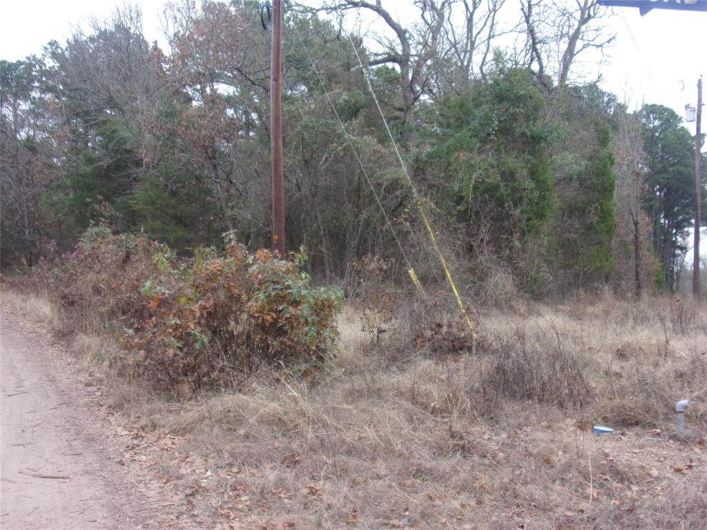 000 Briar Valley - Photo 1