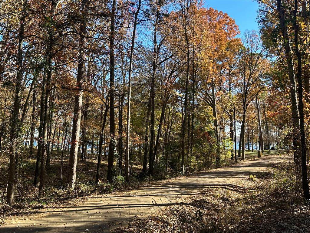 N/A Lot 58 County Road 2938 - Photo 1