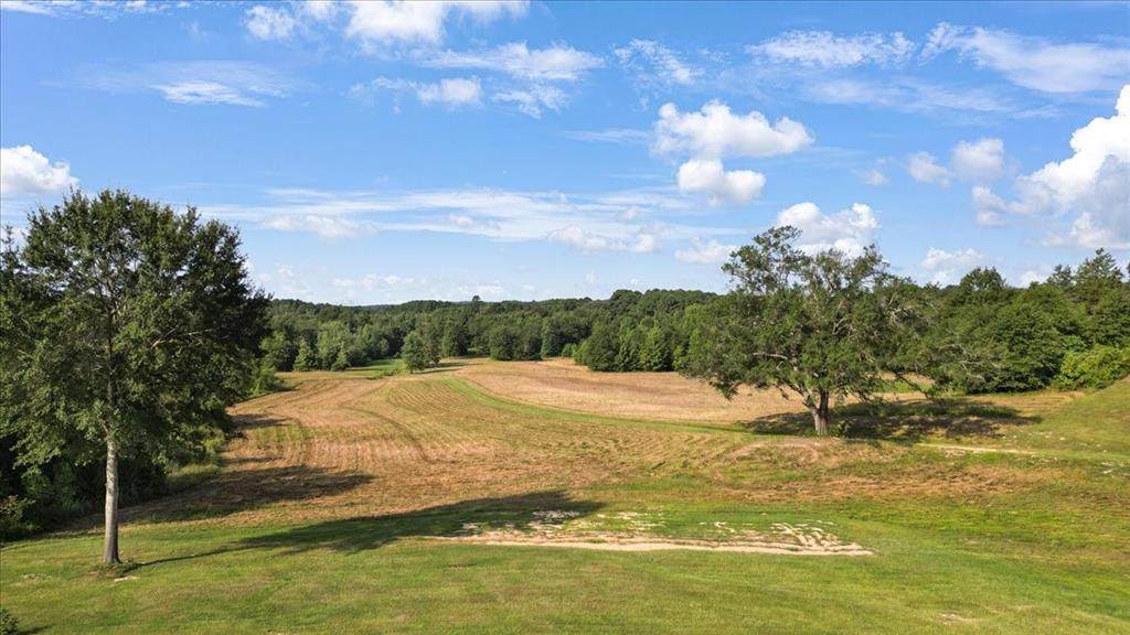 TBD Live Oak - Photo 1