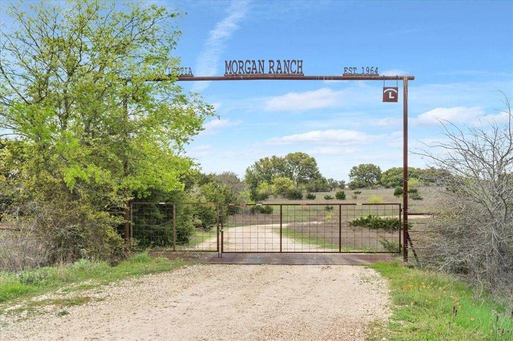 TBD 252 Acres Dan Morgan Road - Photo 1