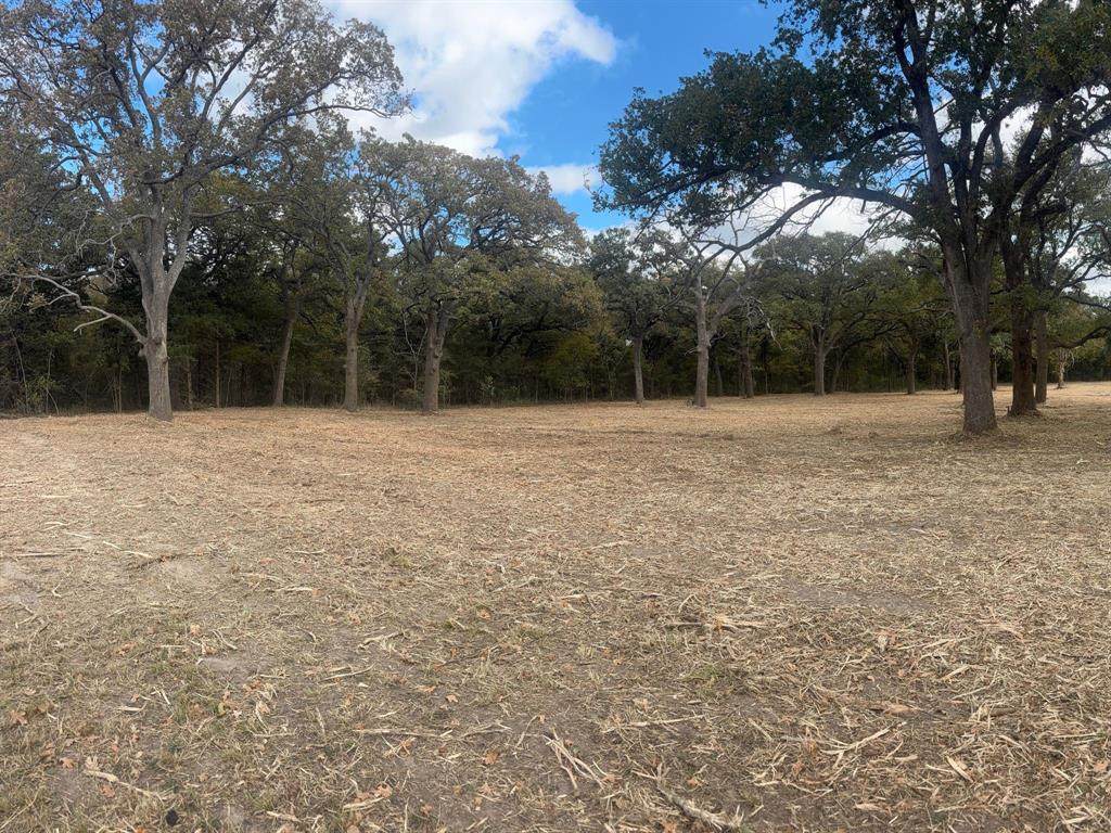 5.2 acres Fm 1570 - Photo 1