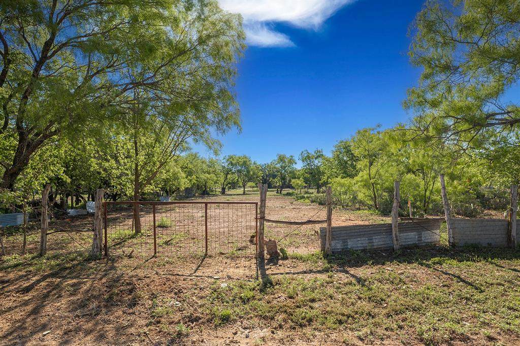 0000 Mesquite - Photo 1