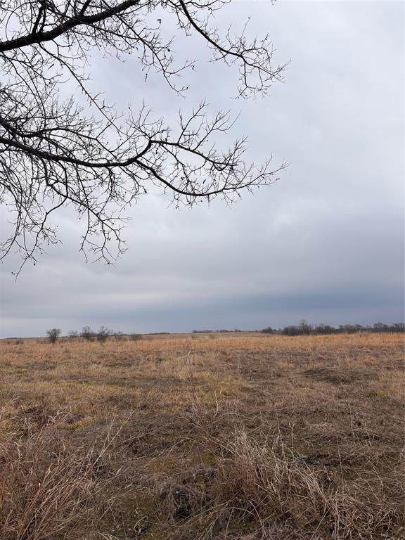 TBD County Road - Photo 1