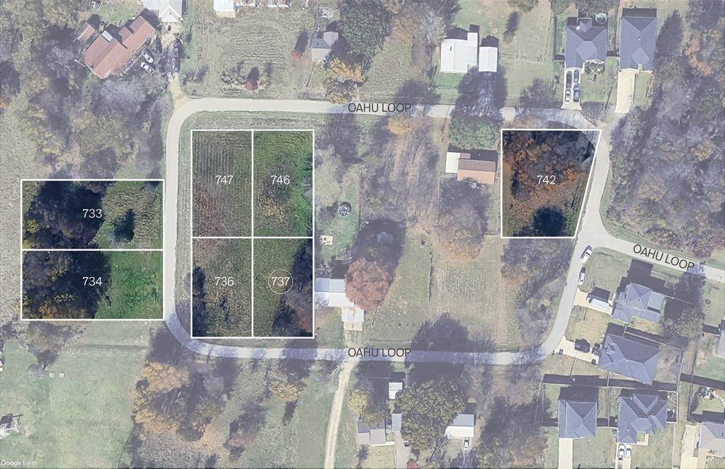 737 Oahu Loop - Photo 1