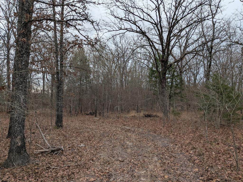 179 Rs County Road 2572 - Photo 1