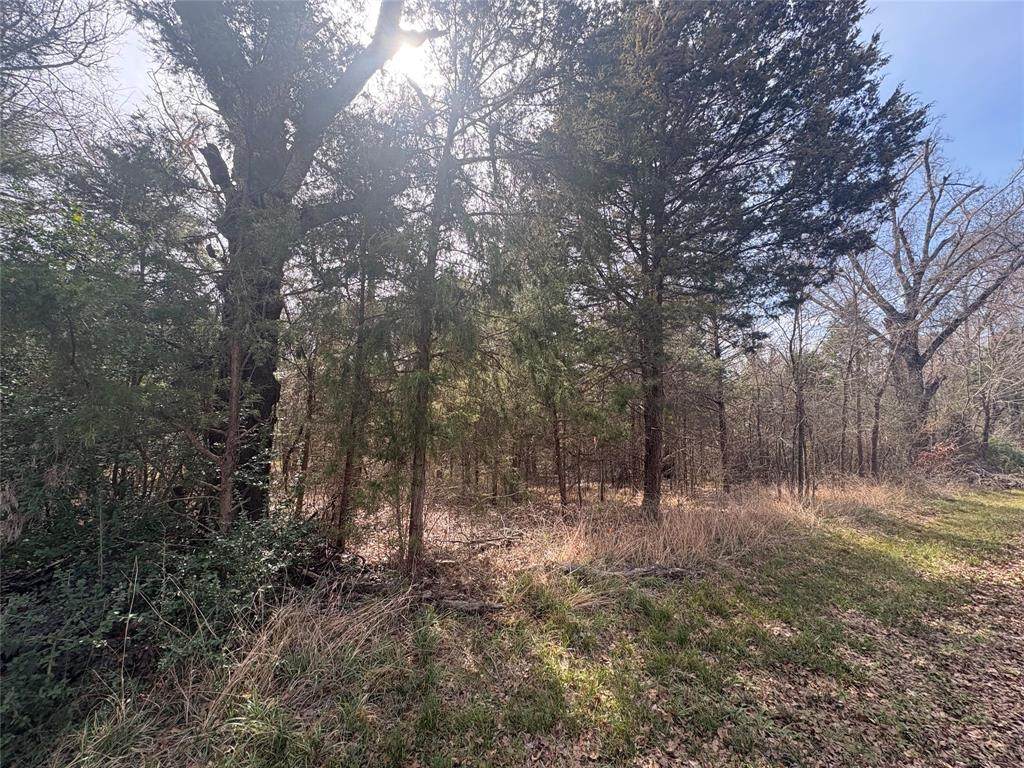 https://bt-photos.global.ssl.fastly.net/ntreis/orig_boomver_1_21167823-2.jpg