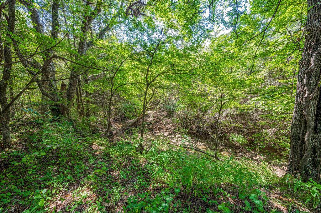 347 Copper Branch Road - Photo 1