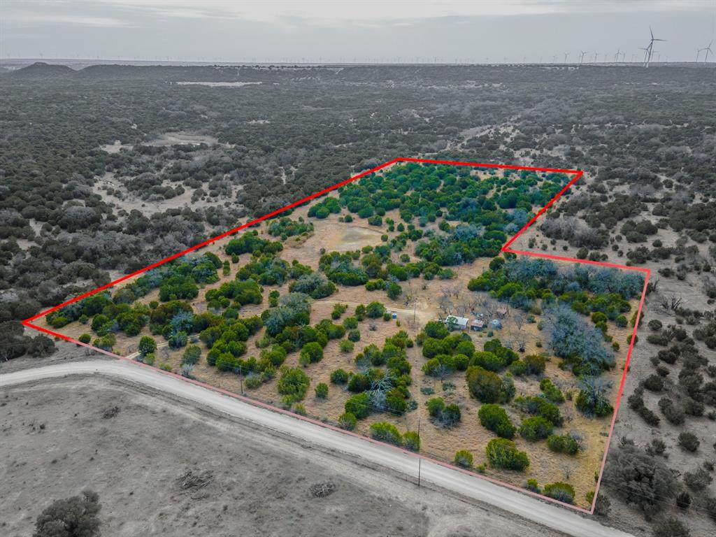 2650 County Road 253 - Photo 1