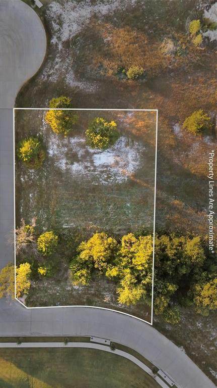 4911 Golden Bell Lane - Photo 1