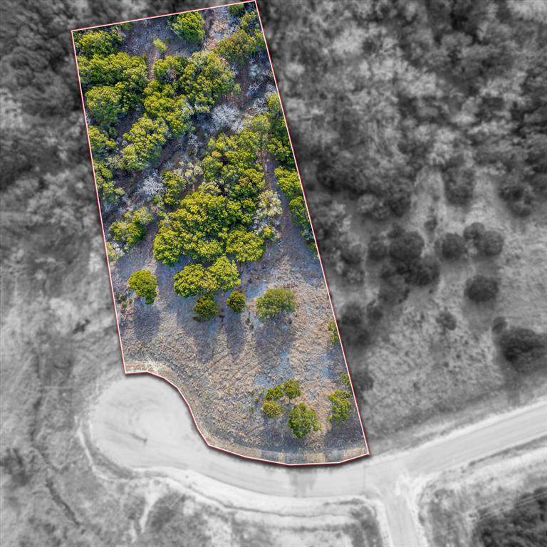 1204 County Road 407A - Photo 1