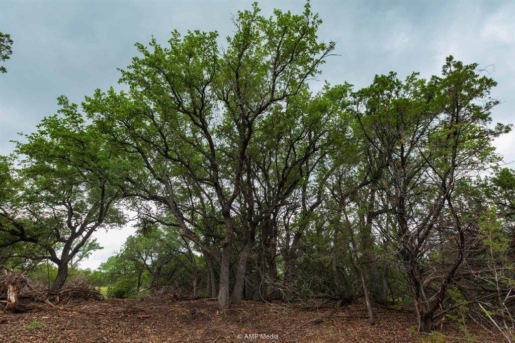 8219 Fm 89 - Photo 1