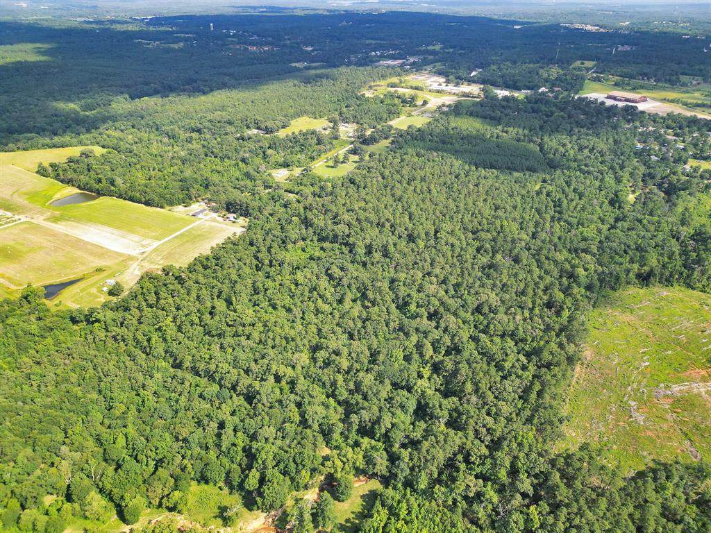 10114 County Road 272 - Photo 1