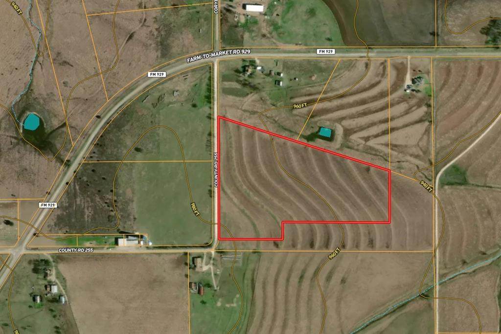 TBD-20 acres Tbd Cr 255 - Photo 1