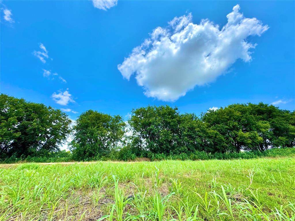 Lot 12 Cr-590 - Photo 1