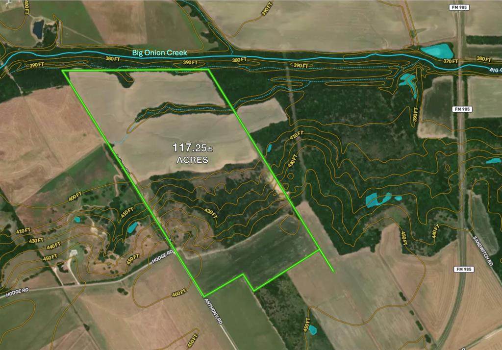 TBD 117 acres Anthony Road - Photo 1