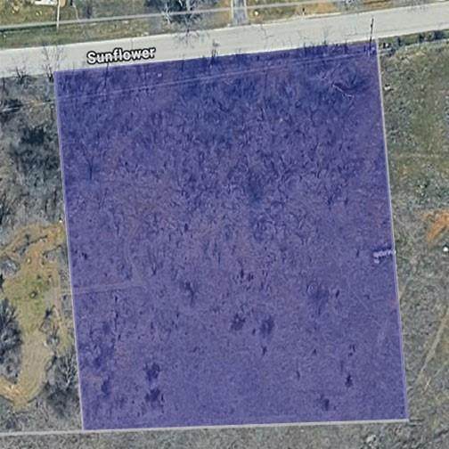 0000 Sunflower Road - Photo 1