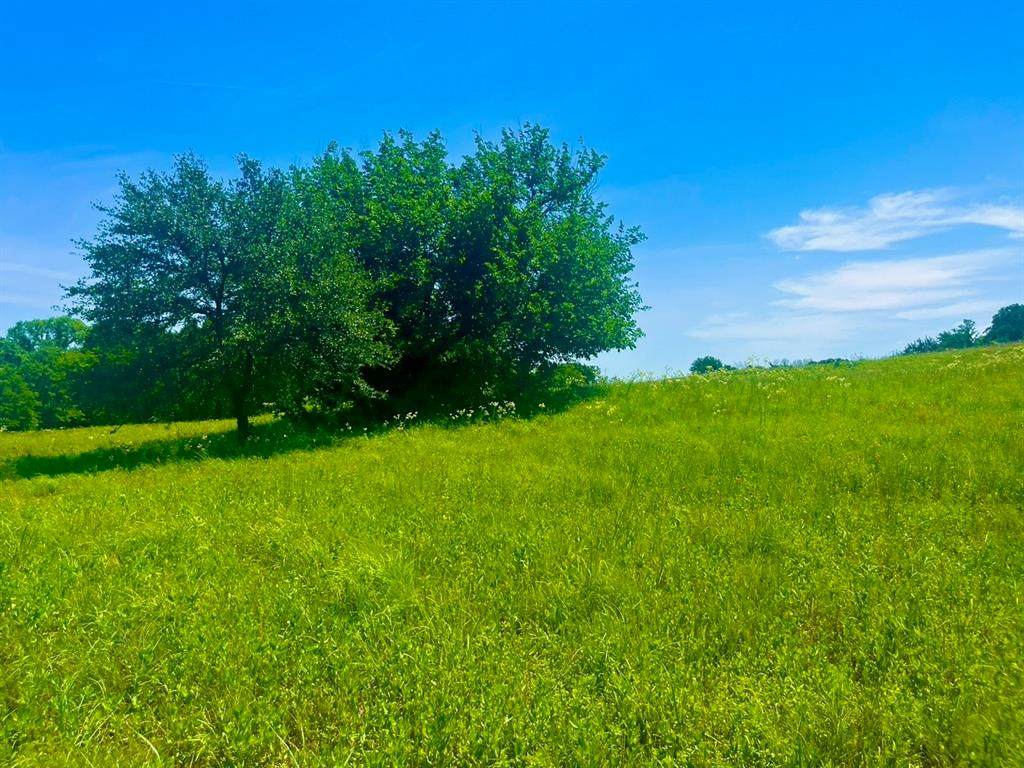Lot 102 Arlow Road - Photo 1