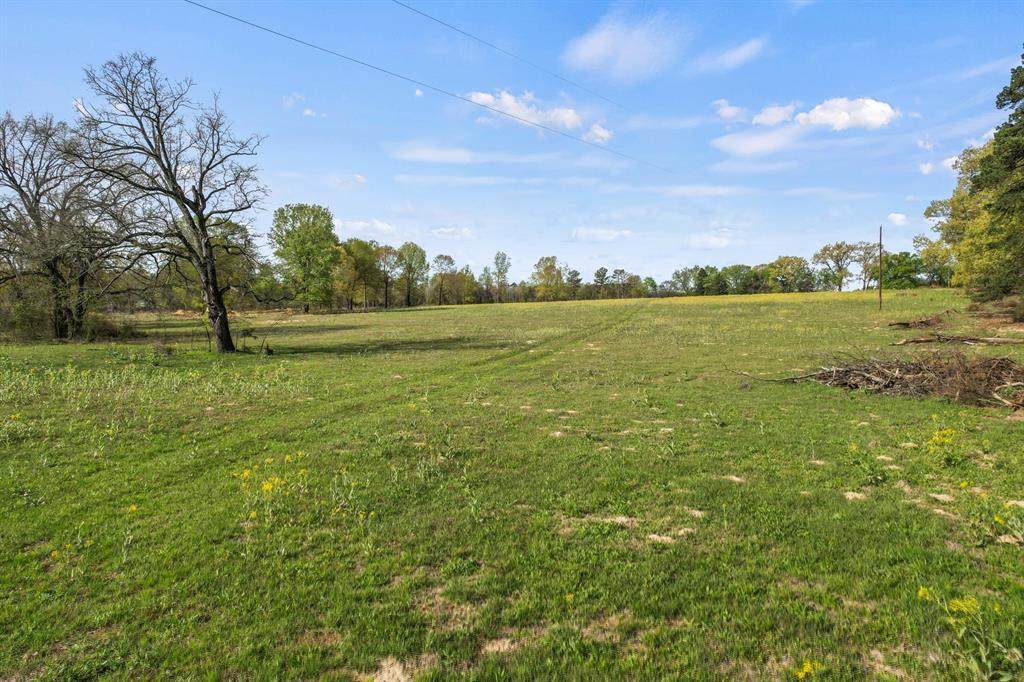 000 County Road 4663 - Photo 1