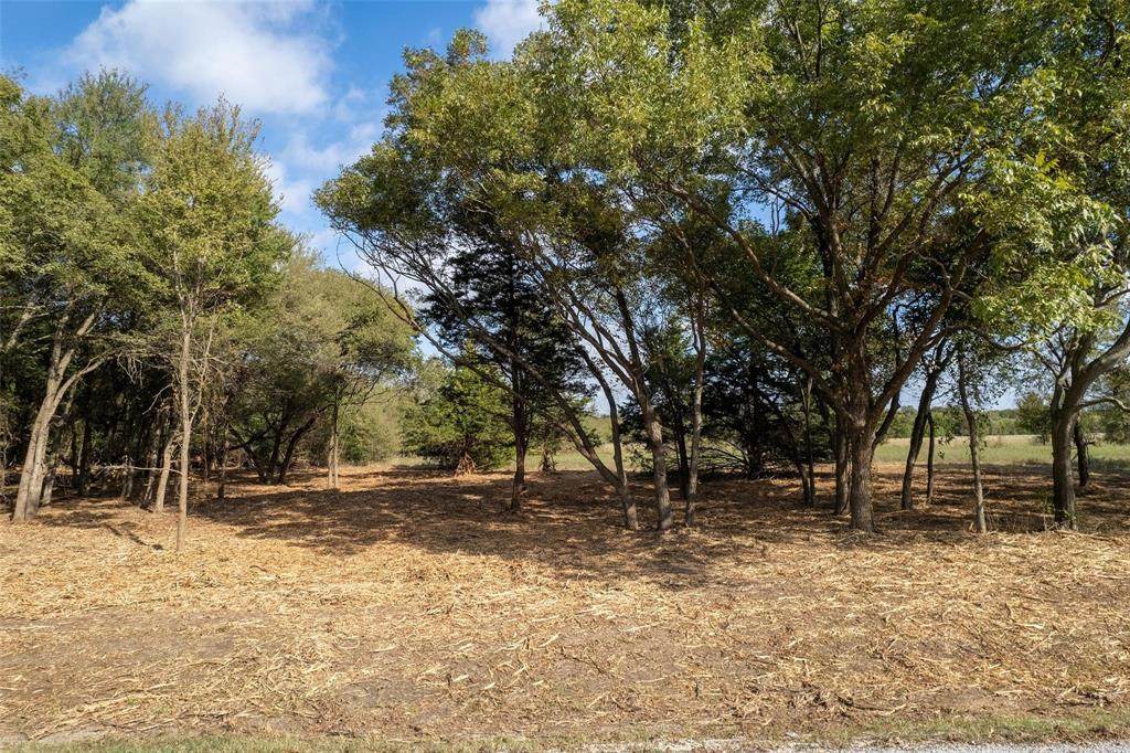 LOT 5 Mcfarlin Road - Photo 1