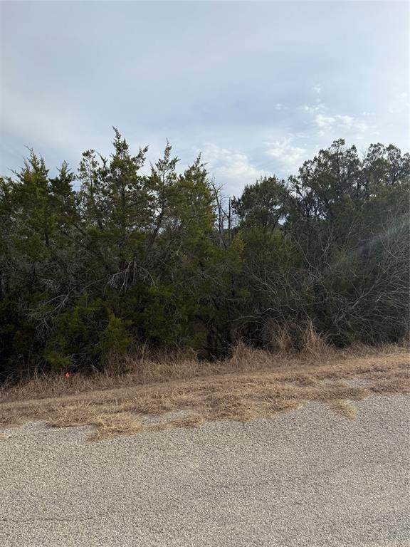 3111 Canadian River Trail - Photo 1