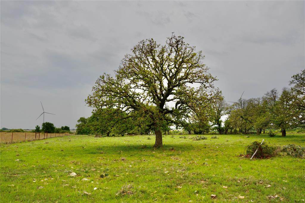 https://bt-photos.global.ssl.fastly.net/ntreis/orig_boomver_1_21176426-2.jpg