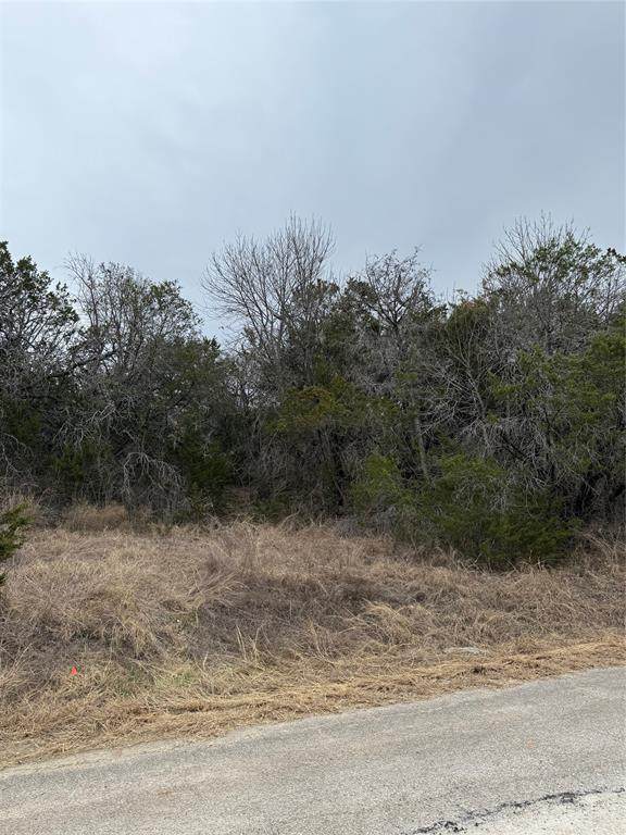 4611 Evening View Drive - Photo 1