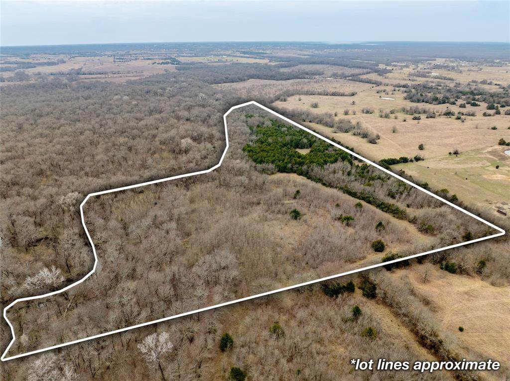 TBD County Road 618 - Photo 1