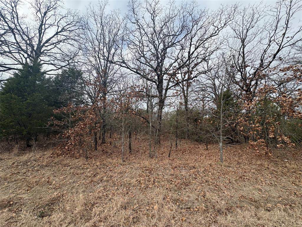 118 Pocahontas Street - Photo 1