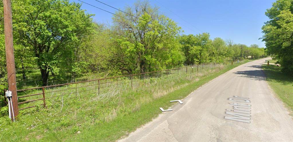 704 Mint Drive - Photo 1