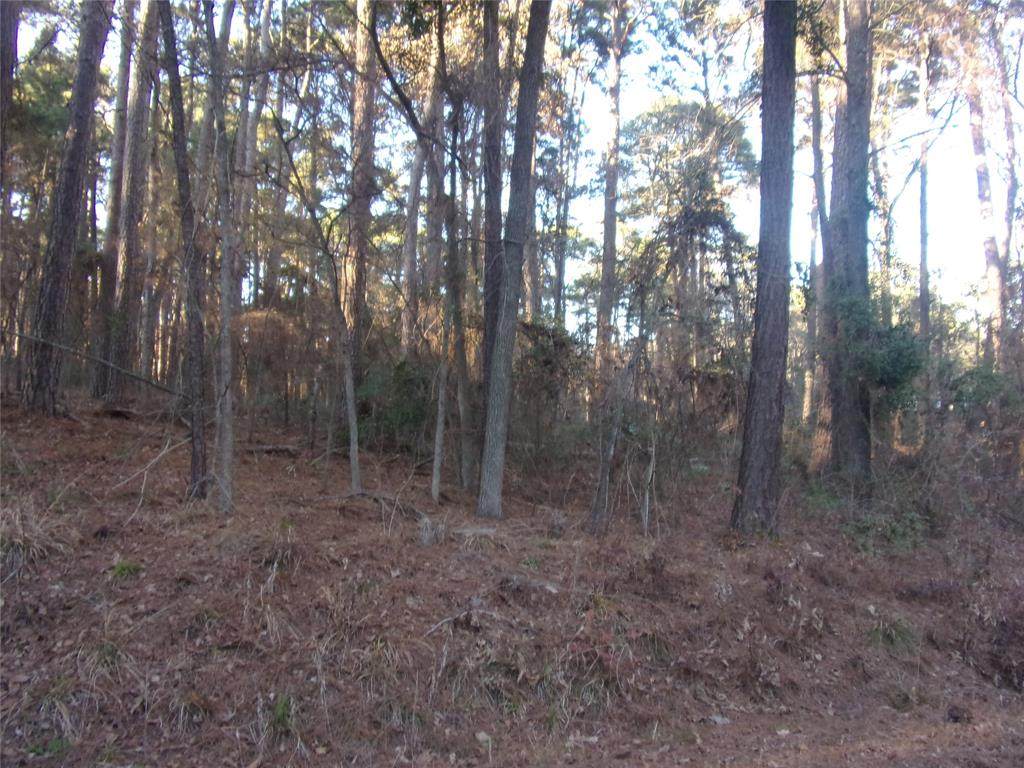 tbd Lake Side Drive - Photo 1
