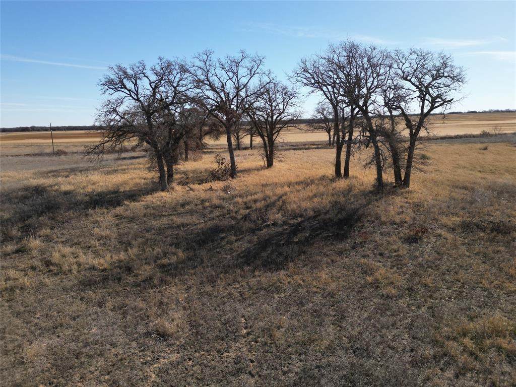 1235 County Road 226 - Photo 1