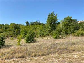 Lot 168 Canyon Wren - Photo 1
