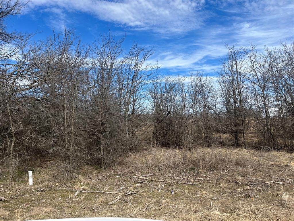 TBD Sleepy Meadow Drive - Photo 1