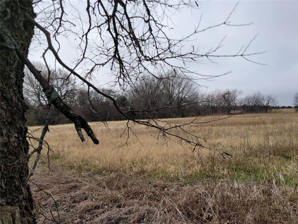 2232 County Road 415 - Photo 1