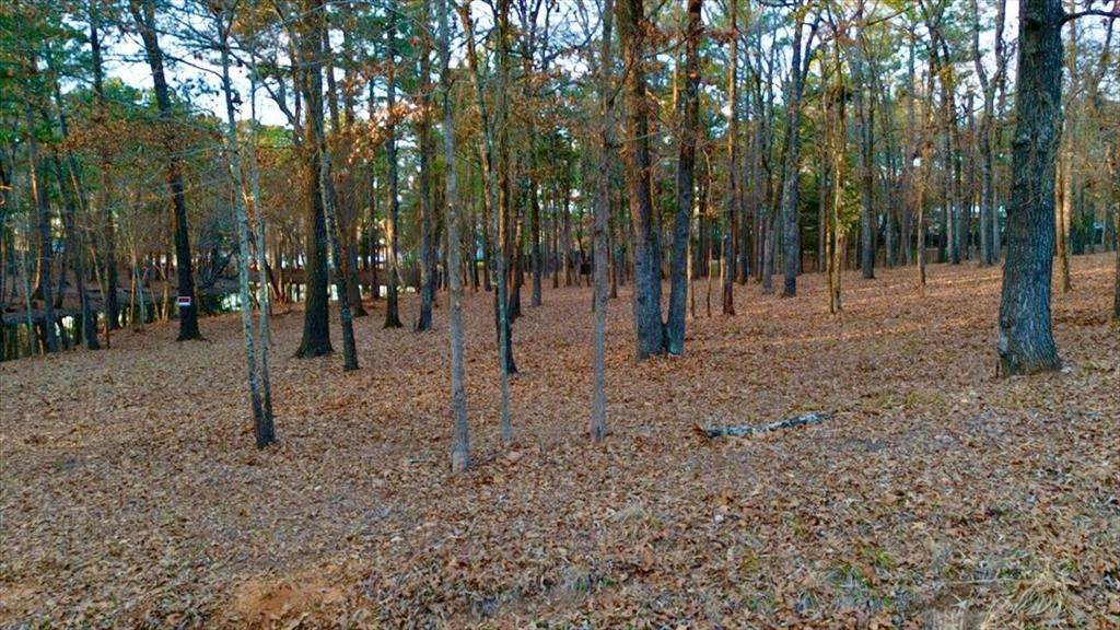 TBD Hickory Trail - Photo 1