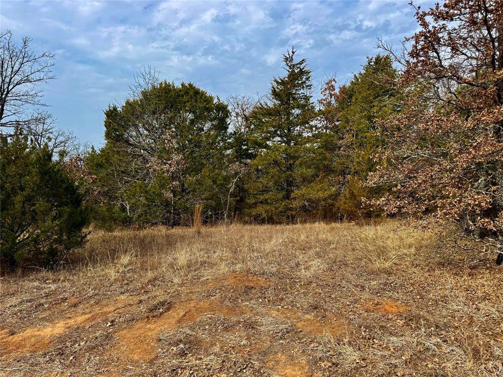 TBD County Road 106 - Photo 1