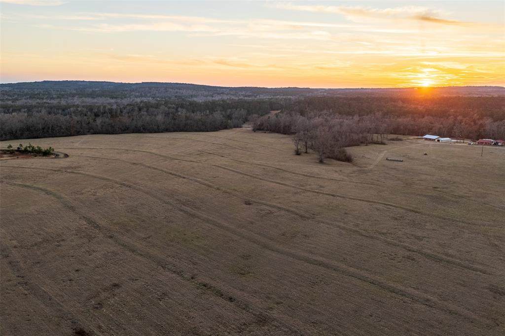 13579 County Road 4198 S - Photo 1