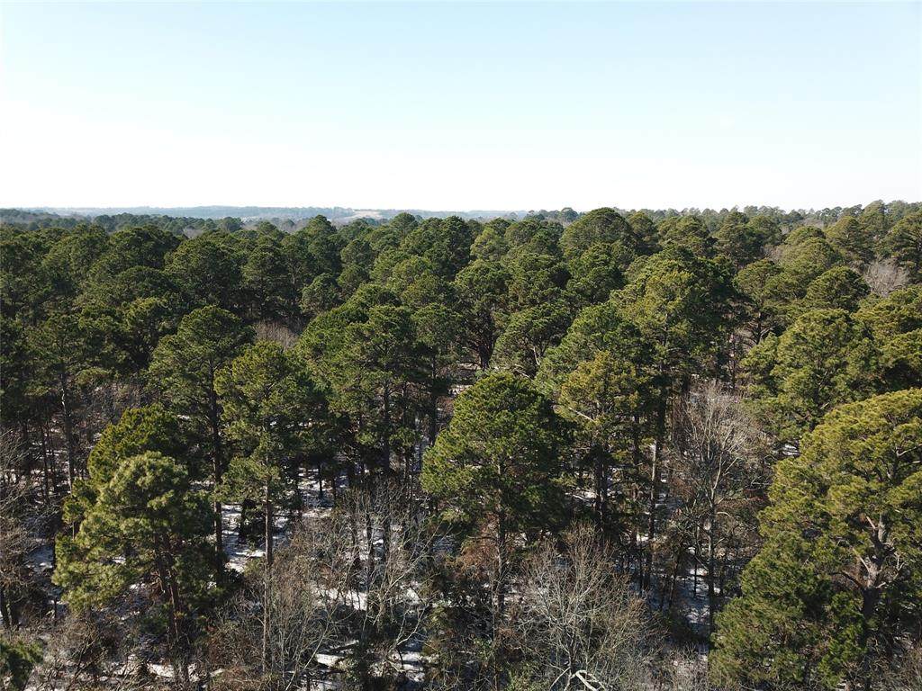 00 County Road 3147 - Photo 1